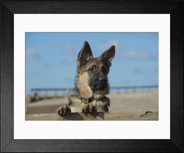 Framed Print : Picture No. 11772447 Framed Print : Picture No. 11772447