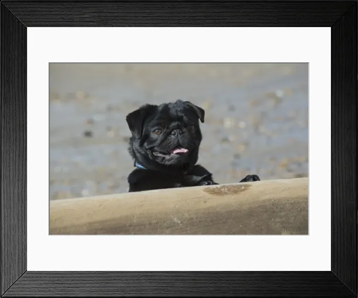 Framed Print : Picture No. 11772452 Framed Print : Picture No. 11772452