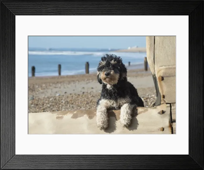 Framed Print : Picture No. 11772457 Framed Print : Picture No. 11772457