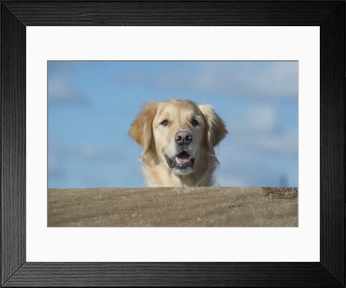 Framed Print : Picture No. 11772464 Framed Print : Picture No. 11772464