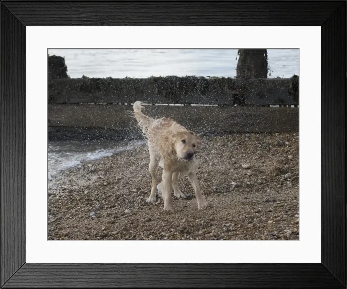 Framed Print : Picture No. 11772466 Framed Print : Picture No. 11772466