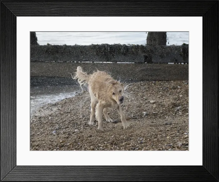 Framed Print : Picture No. 11772467 Framed Print : Picture No. 11772467