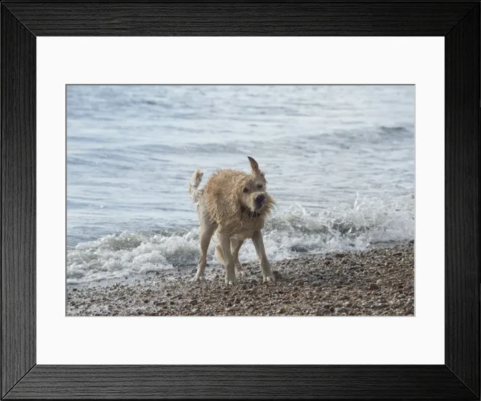 Framed Print : Picture No. 11772468 Framed Print : Picture No. 11772468