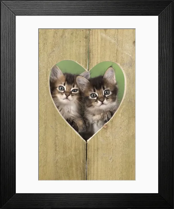 Framed Print : Picture No. 11772489 Framed Print : Picture No. 11772489