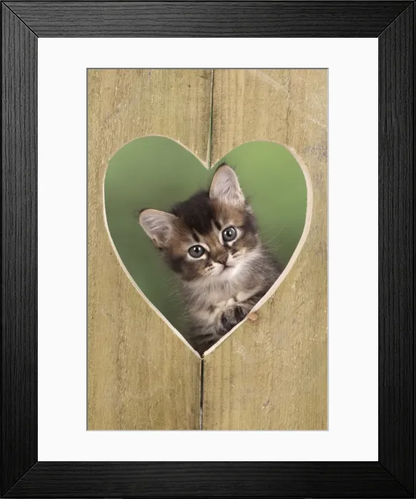 Framed Print : Picture No. 11772493 Framed Print : Picture No. 11772493