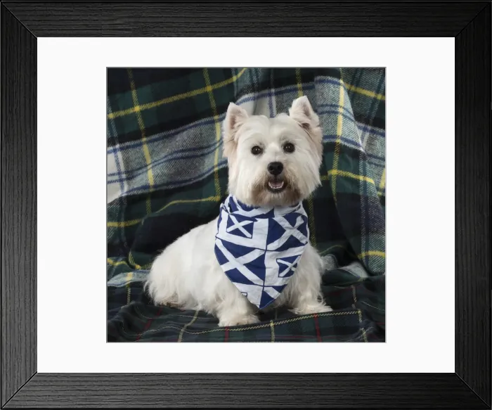 Framed Print : Picture No. 11772508 Framed Print : Picture No. 11772508