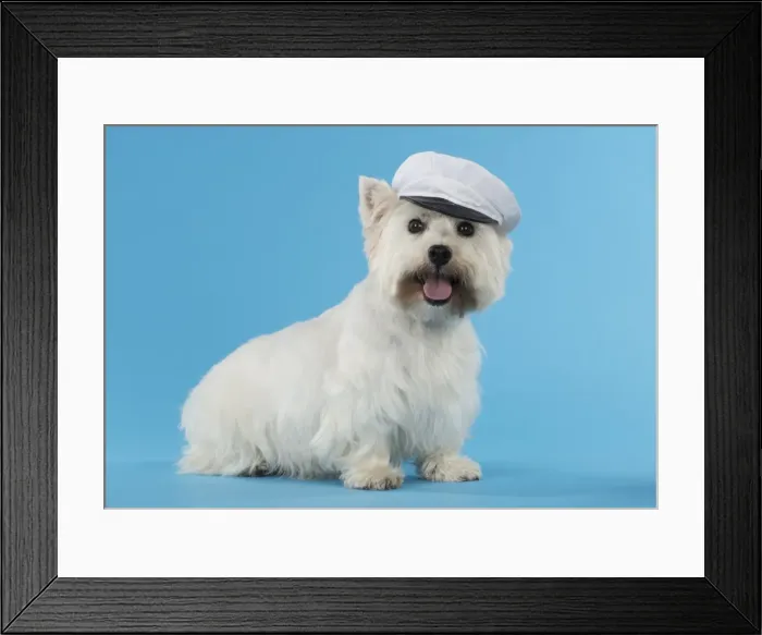 Framed Print : Picture No. 11772510 Framed Print : Picture No. 11772510