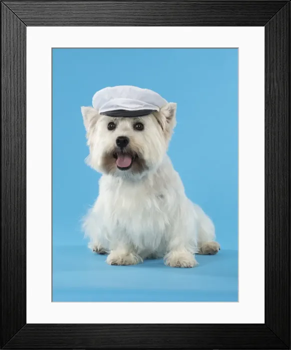 Framed Print : Picture No. 11772511 Framed Print : Picture No. 11772511