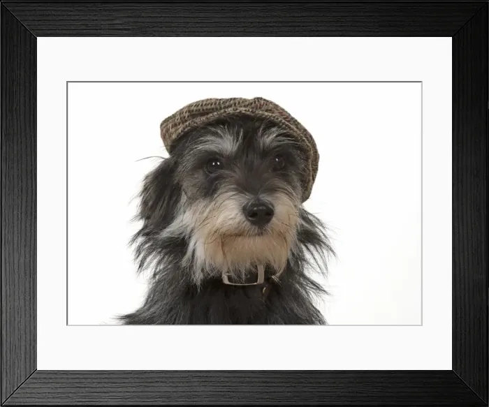 Framed Print : Picture No. 11772516 Framed Print : Picture No. 11772516