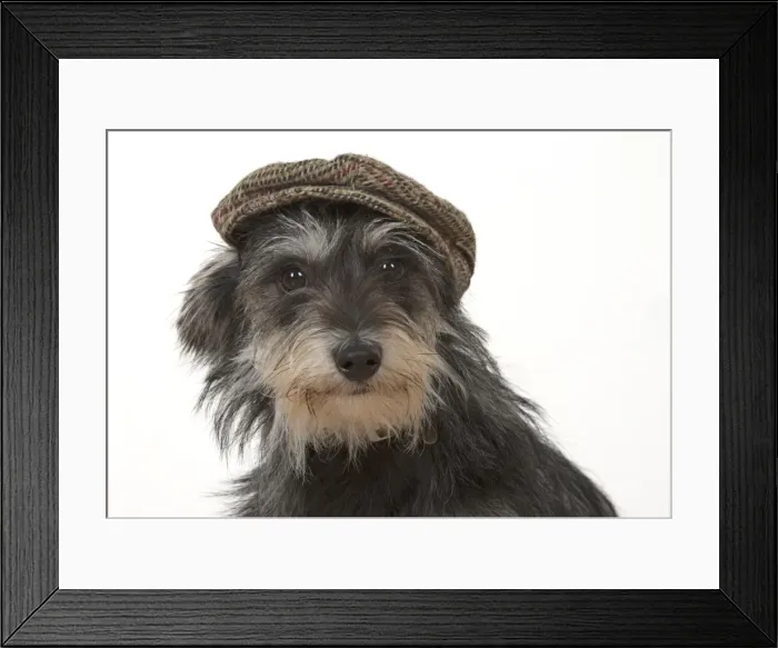 Framed Print : Picture No. 11772518 Framed Print : Picture No. 11772518