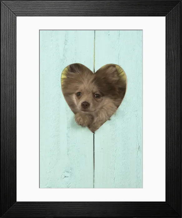 Framed Print : Picture No. 11772520 Framed Print : Picture No. 11772520