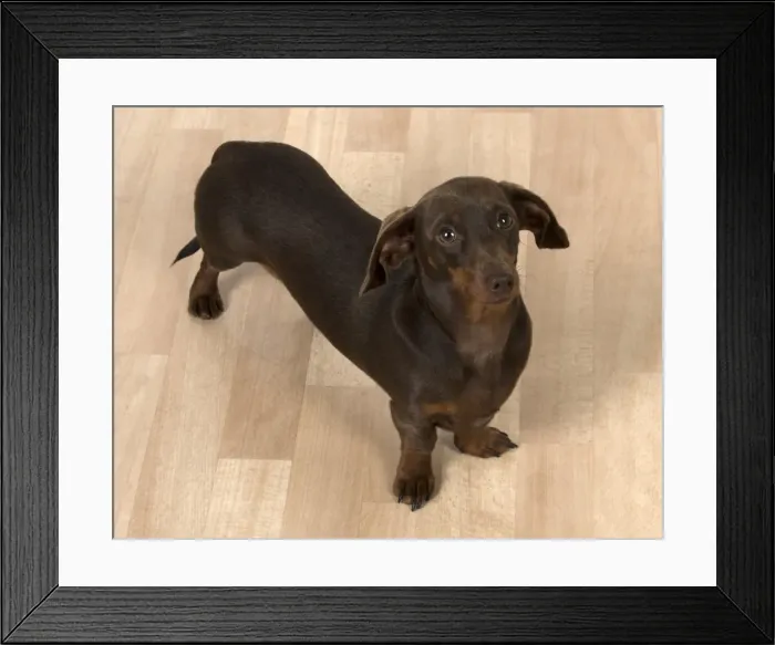 Framed Print : Picture No. 11772522 Framed Print : Picture No. 11772522