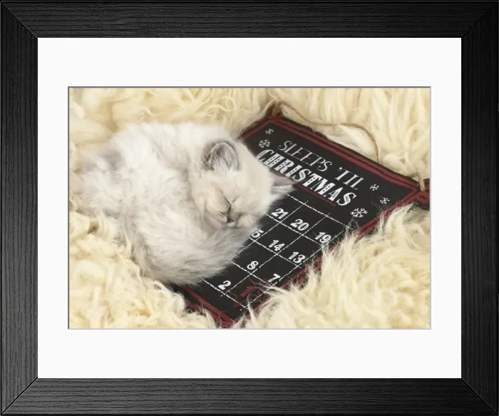 Framed Print : Picture No. 11772596 Framed Print : Picture No. 11772596