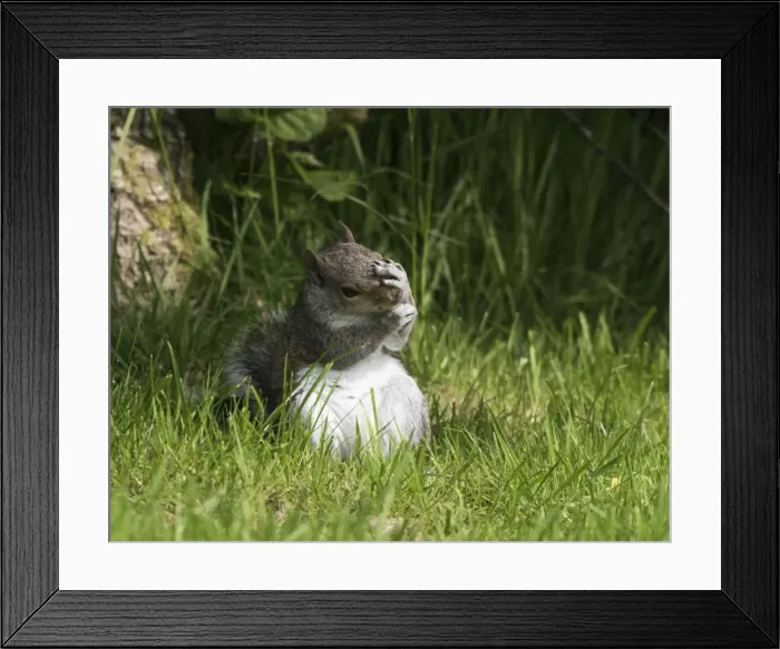 Framed Print : Picture No. 11772608 Framed Print : Picture No. 11772608