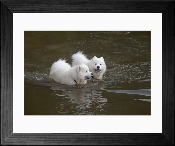 Framed Print : Picture No. 11772622 Framed Print : Picture No. 11772622