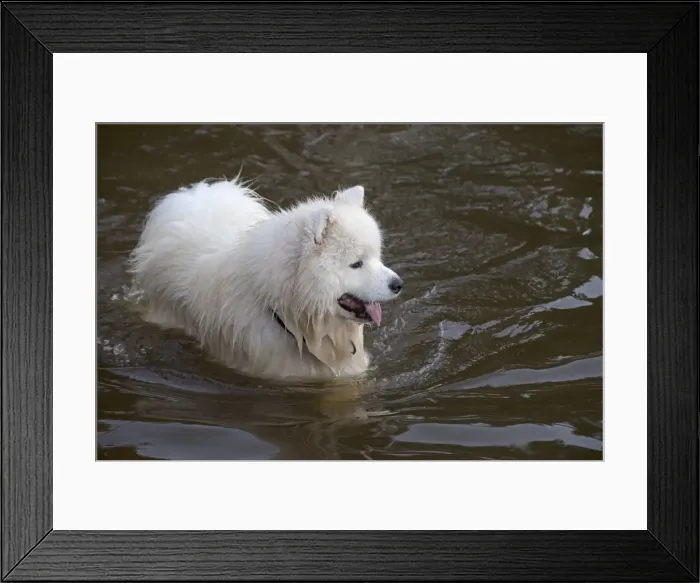 Framed Print : Picture No. 11772623 Framed Print : Picture No. 11772623