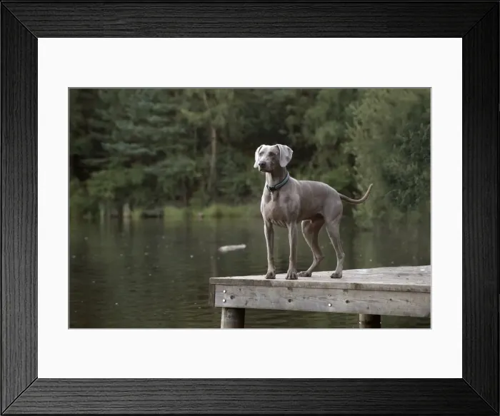 Framed Print : Picture No. 11772633 Framed Print : Picture No. 11772633