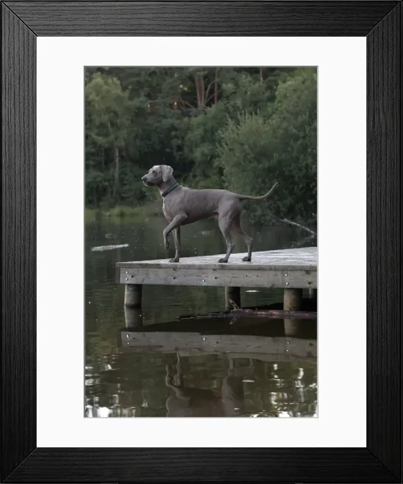 Framed Print : Picture No. 11772636 Framed Print : Picture No. 11772636