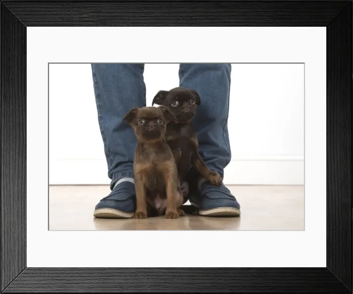 Framed Print : Picture No. 11772647 Framed Print : Picture No. 11772647