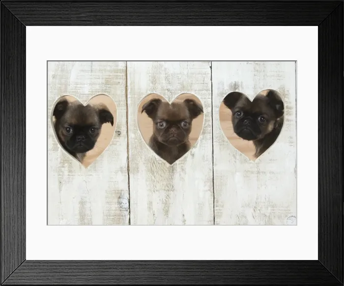 Framed Print : Picture No. 11772651 Framed Print : Picture No. 11772651