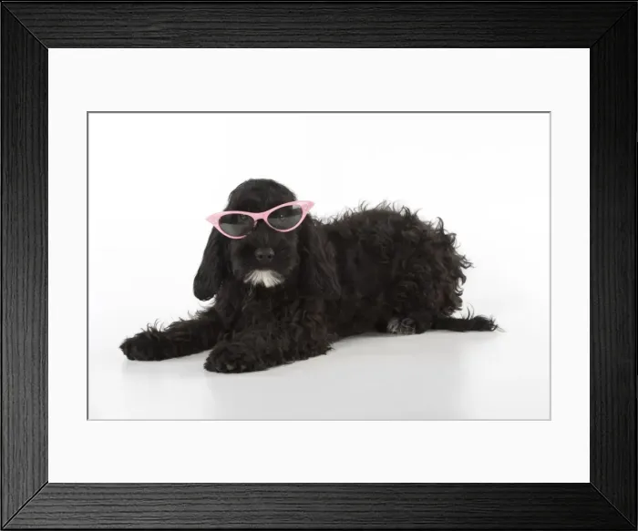 Framed Print : Picture No. 11772680 Framed Print : Picture No. 11772680