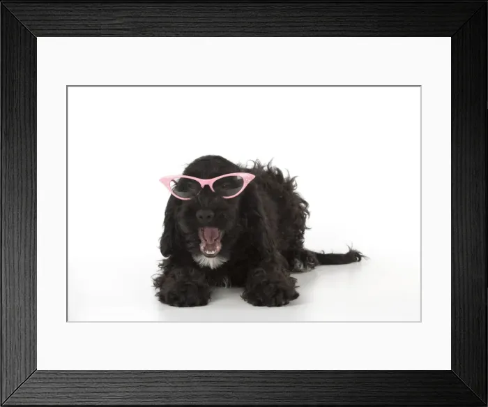 Framed Print : Picture No. 11772681 Framed Print : Picture No. 11772681