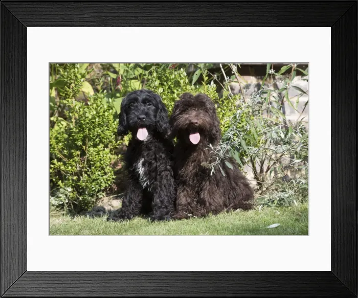 Framed Print : Picture No. 11772688 Framed Print : Picture No. 11772688