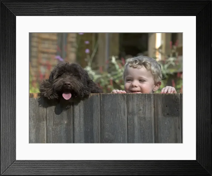 Framed Print : Picture No. 11772692 Framed Print : Picture No. 11772692