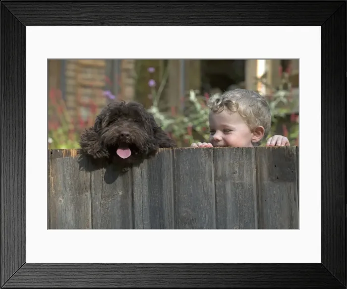 Framed Print : Picture No. 11772693 Framed Print : Picture No. 11772693