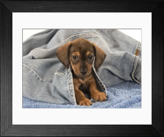 Framed Print : Picture No. 11772697