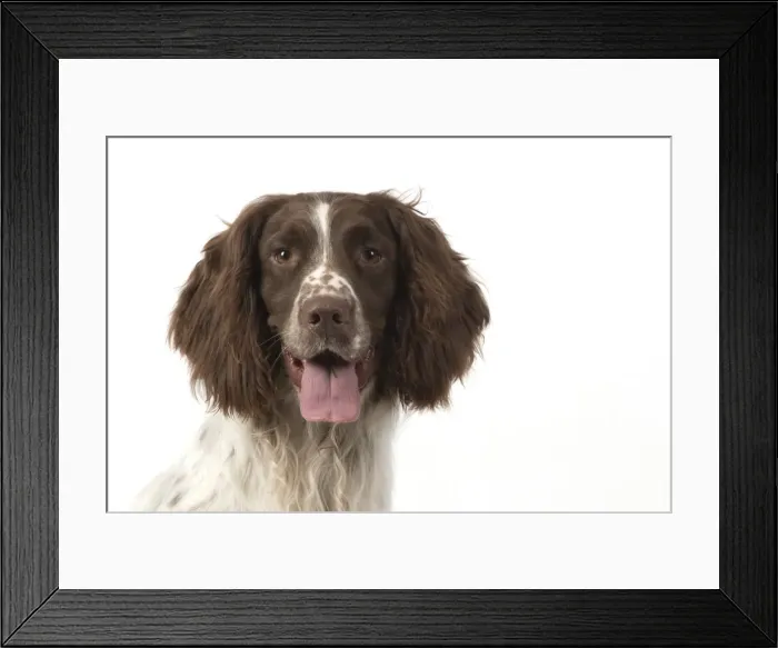 Framed Print : Picture No. 11772698 Framed Print : Picture No. 11772698
