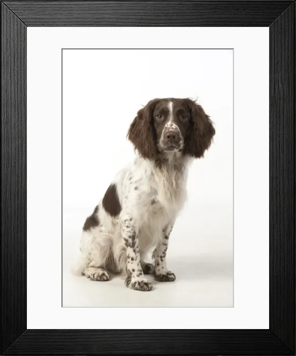 Framed Print : Picture No. 11772699 Framed Print : Picture No. 11772699