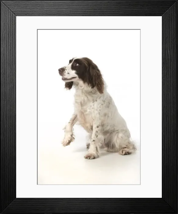 Framed Print : Picture No. 11772700 Framed Print : Picture No. 11772700