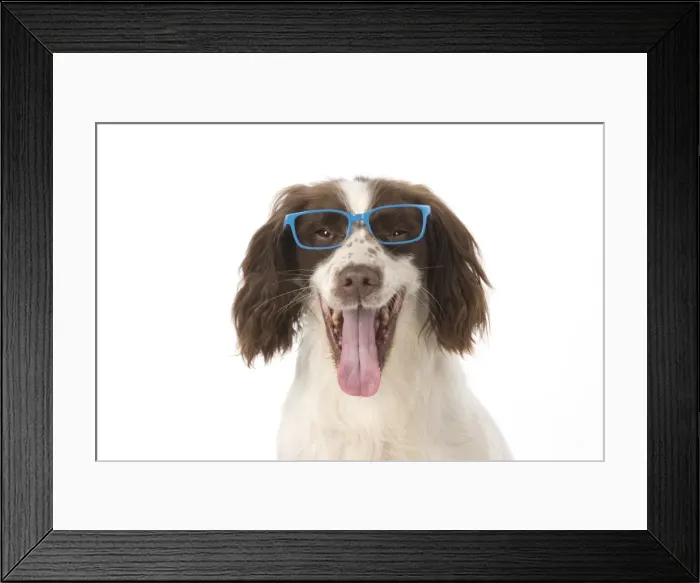 Framed Print : Picture No. 11772705 Framed Print : Picture No. 11772705