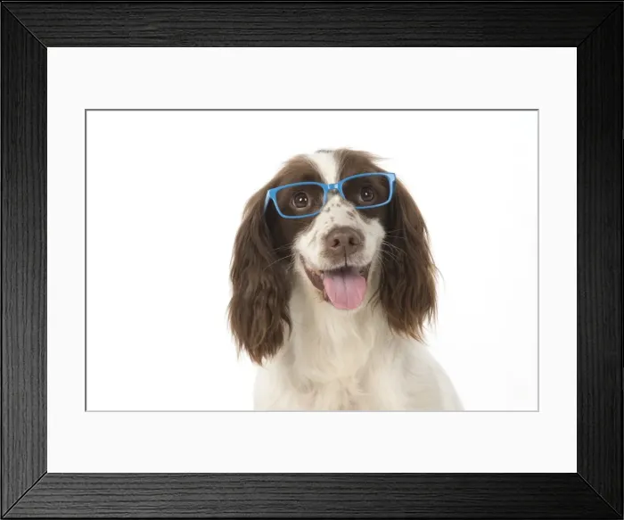 Framed Print : Picture No. 11772706 Framed Print : Picture No. 11772706