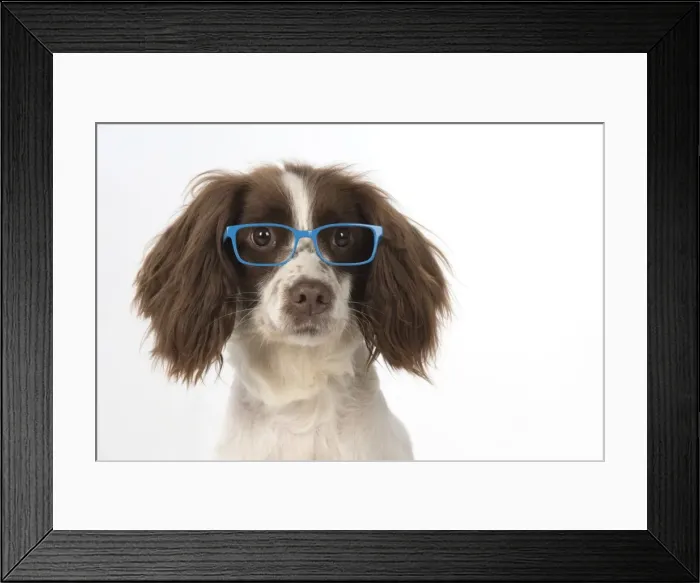 Framed Print : Picture No. 11772707 Framed Print : Picture No. 11772707