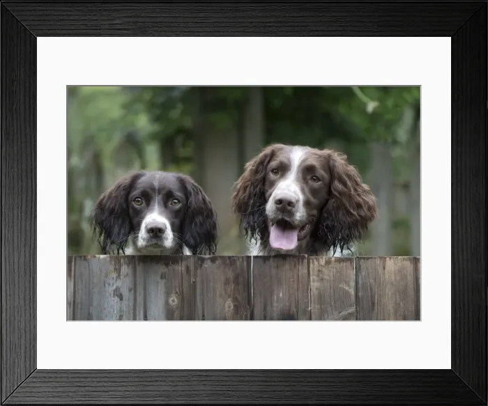 Framed Print : Picture No. 11772710 Framed Print : Picture No. 11772710