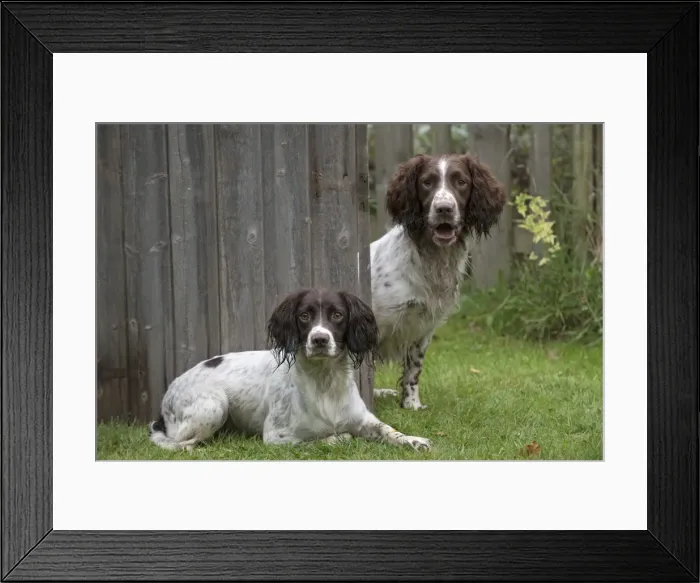 Framed Print : Picture No. 11772712 Framed Print : Picture No. 11772712