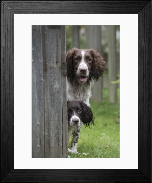 Framed Print : Picture No. 11772713 Framed Print : Picture No. 11772713