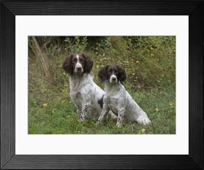 Framed Print : Picture No. 11772718 Framed Print : Picture No. 11772718