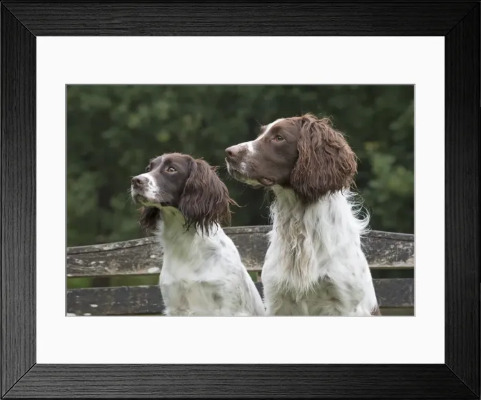 Framed Print : Picture No. 11772728 Framed Print : Picture No. 11772728