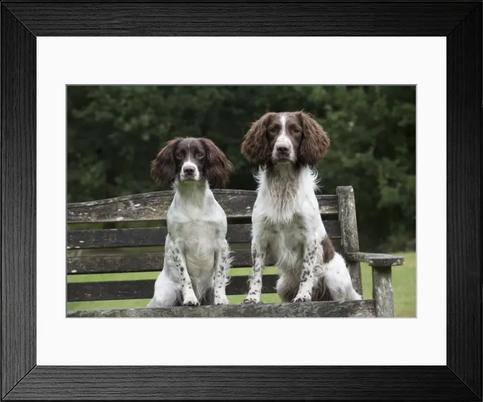 Framed Print : Picture No. 11772729 Framed Print : Picture No. 11772729