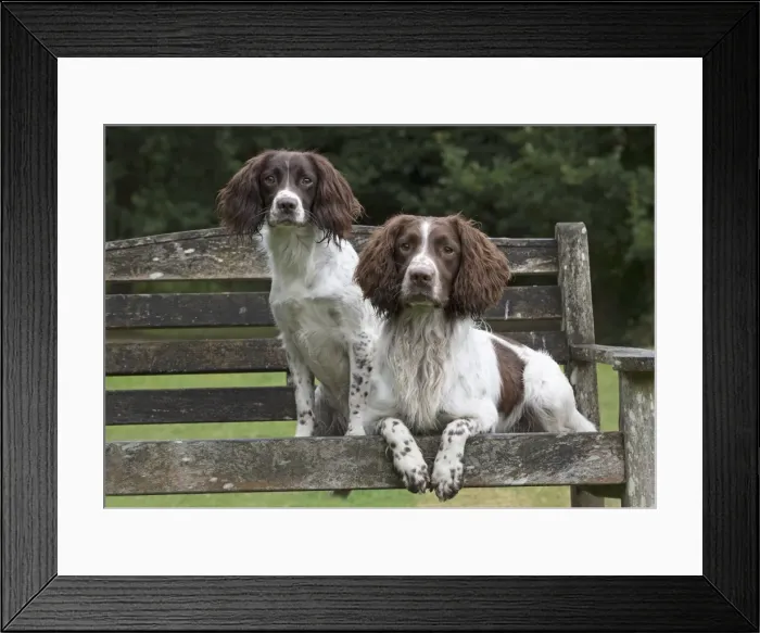 Framed Print : Picture No. 11772730 Framed Print : Picture No. 11772730