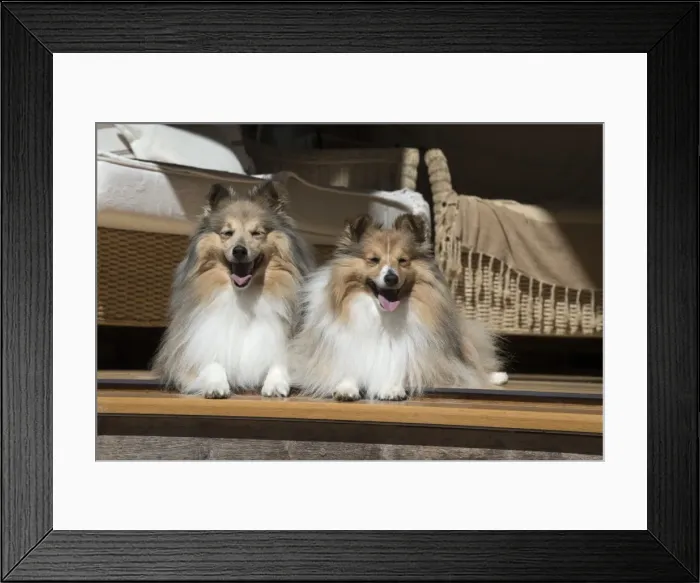 Framed Print : Picture No. 11772747 Framed Print : Picture No. 11772747