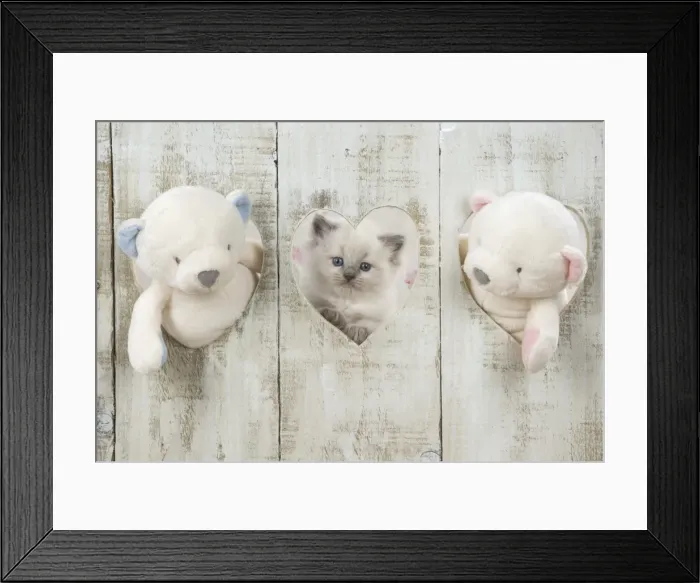 Framed Print : Picture No. 11772776 Framed Print : Picture No. 11772776