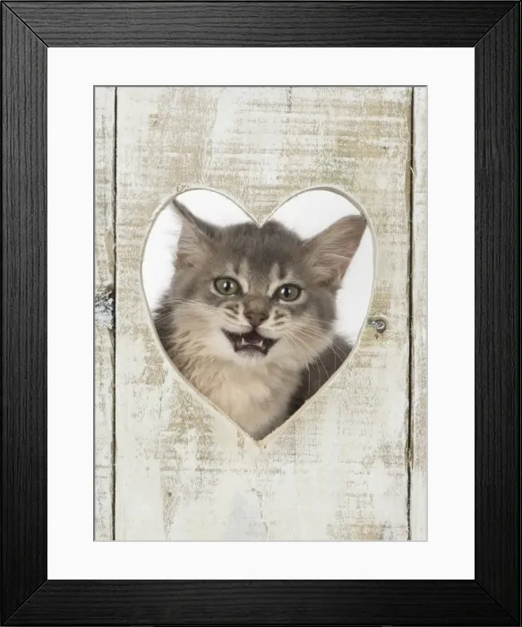 Framed Print : Picture No. 11772797 Framed Print : Picture No. 11772797