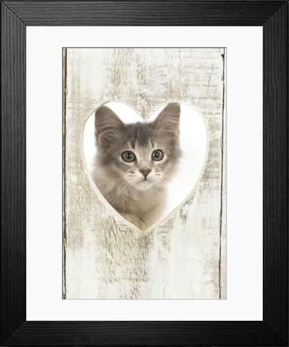 Framed Print : Picture No. 11772798 Framed Print : Picture No. 11772798