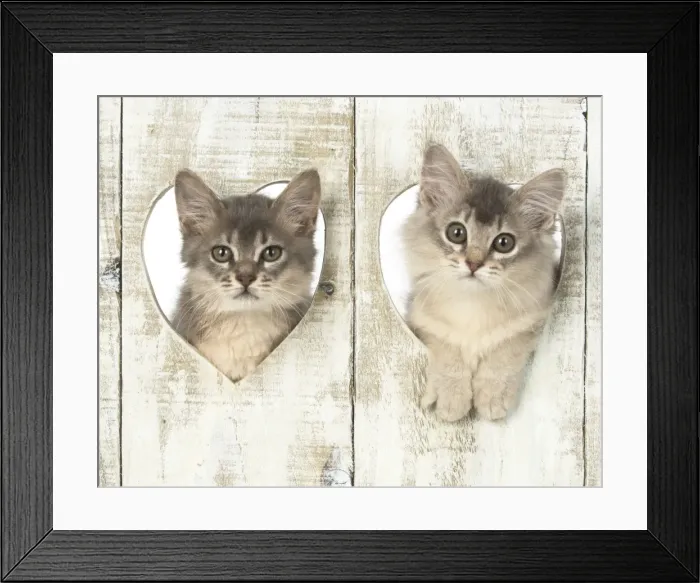 Framed Print : Picture No. 11772801 Framed Print : Picture No. 11772801