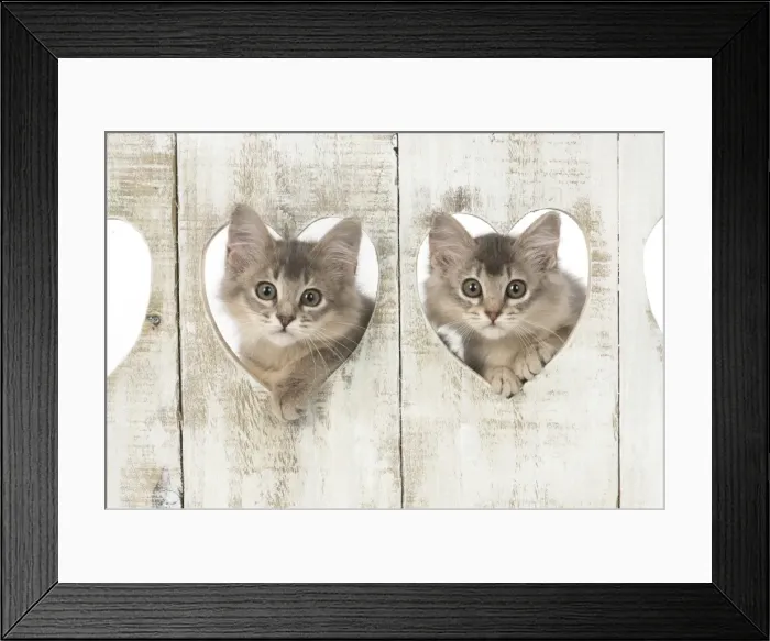 Framed Print : Picture No. 11772802 Framed Print : Picture No. 11772802