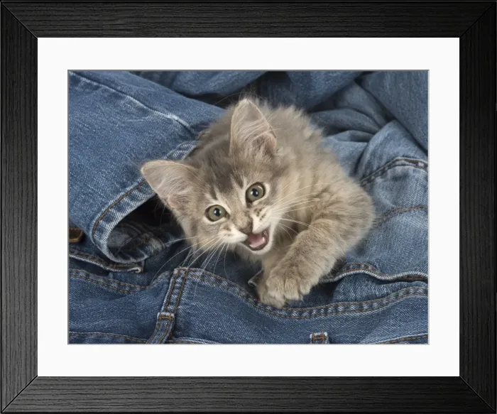 Framed Print : Picture No. 11772809 Framed Print : Picture No. 11772809